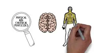 PSY-303 Module 1: Medical Issues & Physiological Psychology