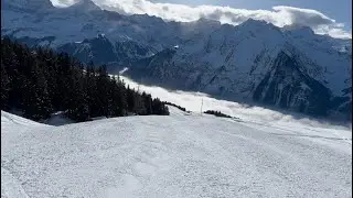 Einmal Ratzi🇨🇭