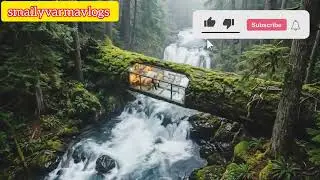 Building A Secret Room Inside A Tree Trunk Over A Waterfall  #tree trunk waterfall (ASMR)#build tree