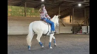 Double S Quarter Horses | Training 1/17 (Class of 2026)