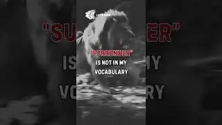 No Surrender