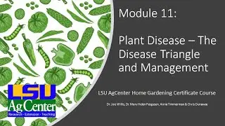 Module 11 - Plant Disease Triangle