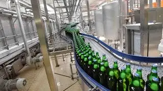 5,000-year-old Chinese beer recipe goes down a storm in US