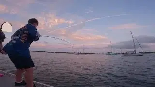 we go night fishing and catch a sting ray and a taylor