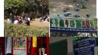 Dwarka (palam park, Mandir and furniture market)