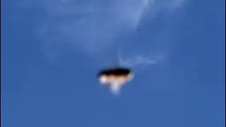 Knuckle Bug captured flying overhead