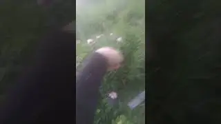 Макарена!!!! снималась  с другого телефона