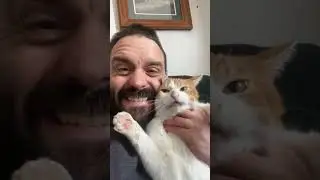 The Most DRAMATIC Cat in History!👑 | #shorts