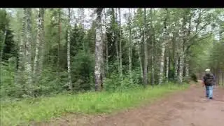 Journey with friends in forest # Poland spring #travel # Riga Life # nature lover