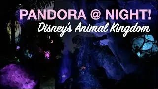 DISNEY PANDORA AT NIGHT! THE WORLD OF AVATAR | ANIMAL KINGDOM #disney #travel #avatar