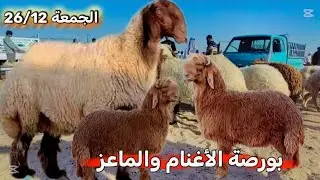 الجمعة 26/12/2025 بورصة الأغنام والماعز العراق البصرة بانواعها المختلفة 