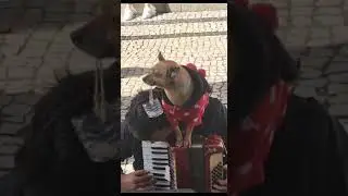 Arquivo Prof Gui Porto recebido 25/11/2023.