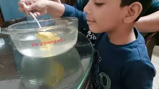 Will It Sink or Float? The Magic of Paper Boats! Kid's activity by Arjo