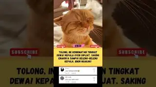 NIKMAT DUNIA! Kucing Oyen Pijat Kepala Sampai Geleng-geleng #GTRZEN #KucingOyen #PijatViral