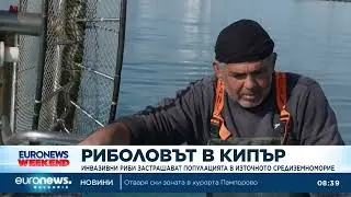 Инвазивни риби застрашават популацията в Кипър