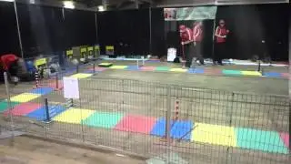 Calgary Pet Expo 2016: Set up for Rabbit Agility Training