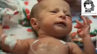 STATE OF THE ART SMART SKIN TECHNOLOGY