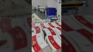 paper cup fan stripping & blanking machine