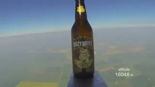 Craft Beer Launch