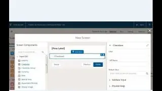 Flow Builder 101.1 Input Screen Choices: Picklists + Radio Buttons