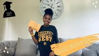 my college orientation experience + advice