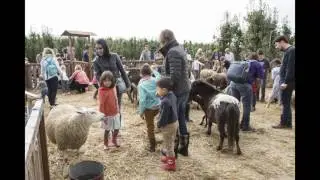 Appelplukdag 2016