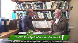 Corn School: Could Neonics Improve Cover Crop Management?