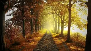 AUTUMN WINDS - Beautiful Piano Music Mix | Atmospheric Piano Music