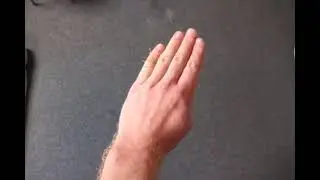 Wrist Flexion Extension Pronation Supination Ulnar and Radial Deviation, Reg. BIZGJAEY