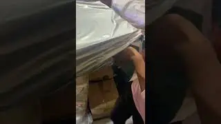 डबल Bass 18