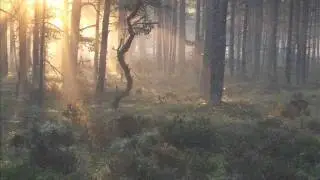 &auml;lskar hela natten