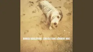 Ambient Sub Culture