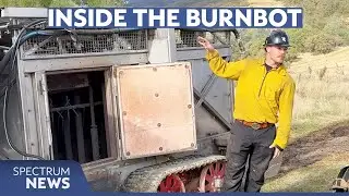 How giants robots could reduce wildfires