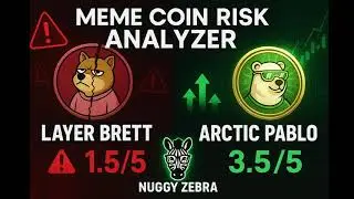 How Risky Is Your Meme Coin? Find Out Fast!