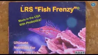 Fincasters Episode 38 Reef Frenzy - Frozen Fish Food You Could Eat