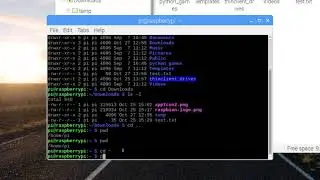 File and Directory Commands