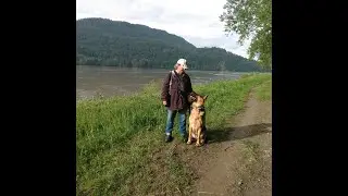PET CARE AND DOG TRAINING AVAILABLE