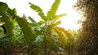 Technical Solution BD is live 🌅🌞🌞 for watching morning session