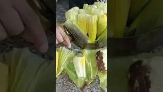 Humitas de Sal y de Dulce (con el toque de Luis) Ecuador #Humitas