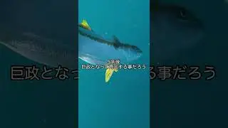 これはやめられないwwww#釣り #ジギング #ゴムボート #コメントください #青物 #ospsalt #ospsaltwater #ospソルトモニター2025 #ジギング #pr