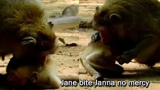 Terrify! Jane seriously bite Janna by angry, Janna cry hurt seizure loudly on land