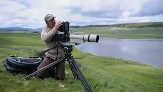 National Geographic Taps into a Community of World-Renowned Wildlife Cinematographers ...
