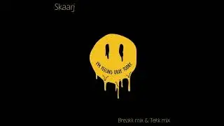 Skaarj - I'm feeling okay today (Breakk mix)