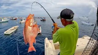 Is there a RED SNAPPER SHORTAGE? | Fishing + Spearfishing