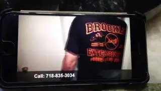 Brooklyn pest control
