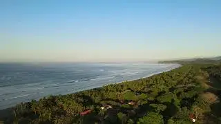 Aerial View of Lush Coastal Beach Landscape
