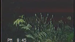 Lahum nga Problema (deeprixxon) - Bopole Larr Prod by:  Lil $wedden