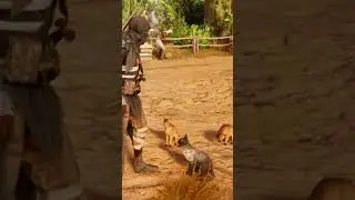 My new companions) ฅ(＾・&omega;・＾ฅ) [Assassin's Creed Origins] #assassinscreedorigins #psgameps #shorts