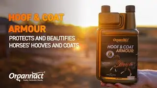 Hoof & Coat Armour: Keratin Support for Hoof Strength & Healthy Coat (Official)