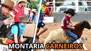 MONTARIAS EM CARNEIROS 🤠RODEIO TEAM